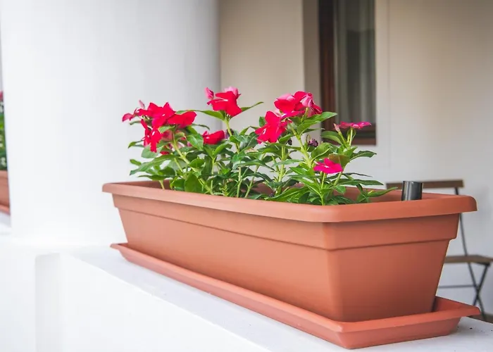 Vitorlas Vendeghaz * רבפולופ